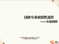 团体专业化销售流程市场调研10页.ppt