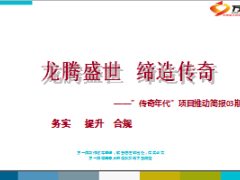 增员传奇年代项目推动简报23页.ppt