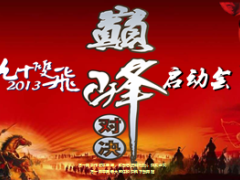 九十双飞机构对抗启动会流程20页.ppt