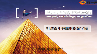 打造百年人寿登峰组织金字塔基本法30页.ppt