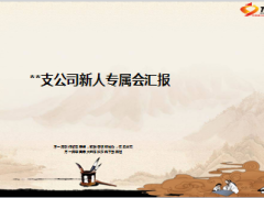 支公司新人专属会汇报总结23页.ppt