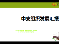 中支公司组织发展汇报总结13页.ppt