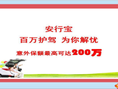太平洋保险安行宝百万身价介绍13页.ppt