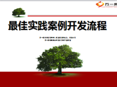最佳实践分享案例开发流程26页.ppt