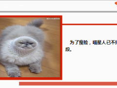 每日快乐早会14年8月15日使用14页.ppt