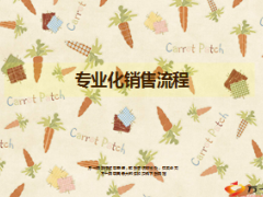 团体保险专业化销售流程99页.ppt