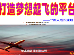 新人成长规划留存晋升22页.ppt