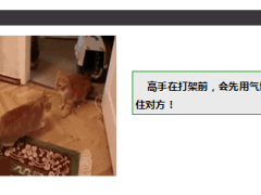 每日快乐早会14年8月19日使用15页.ppt