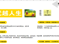 中英人寿优越人生保险自动计划书.xls