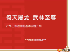 新产品上市运作的基本流程介绍10页.ppt