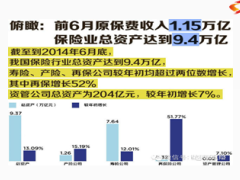 看懂保险公司2014年半年报12页.ppt