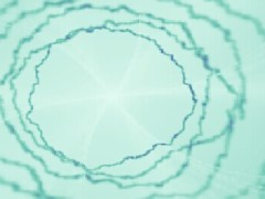 录音神奇的记录本太平汪群主讲.rar