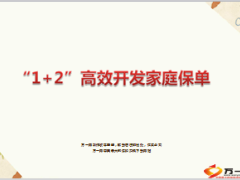 1加2高效开发家庭保单30页.ppt