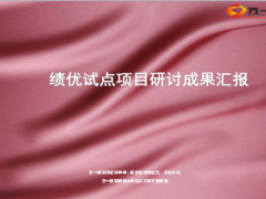 绩优项目规划推进节奏措施分工职责考核评估58页.ppt