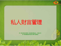 2014版私人财富管理保险资产保全28页.ppt