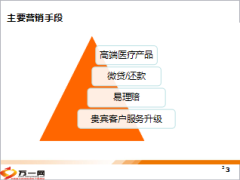 季度贵宾服务升级营销活动20页.ppt