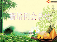 新人培训体系月度例会总结14页.ppt