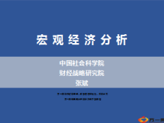 宏观经济分析社科院张斌主讲127页.ppt