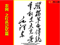 你的名字叫责任农网之红色记忆篇40页.ppt