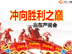 产说会运作操作流程33页.ppt