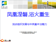 浅谈组织发展与中英基本法魅力39页.ppt