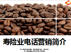 寿险业电话营销简介15页.ppt