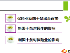 新国十条出台背景对民生影响对保险业影响25页.ppt