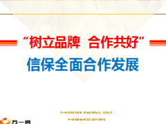 信保业务发展历程现状太平洋优势16页.ppt
