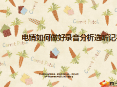 电销如何做好录音分析选听记补16页.ppt