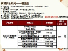 新华团险农发安心系列保险介绍7页.ppt