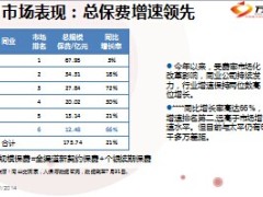 分公司行业地位排名定位策略当下与未来43页.ppt