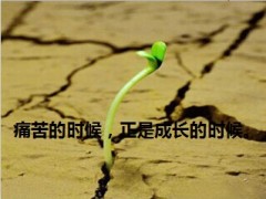 激励图片哲理语句13页.ppt