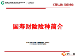 中国人寿财险险种简介46页.ppt