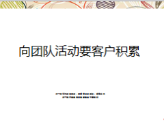 支公司积分兑兑碰活动汇报13页.ppt