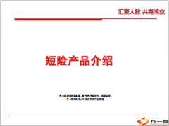 国寿卡折式个人保单团体保单短险产品介绍29页.ppt
