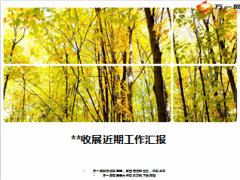 收展汇报总结薄弱环节剖析下阶段举措11页.ppt
