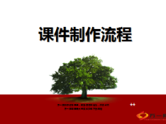 保险营销课件制作流程30页.ppt