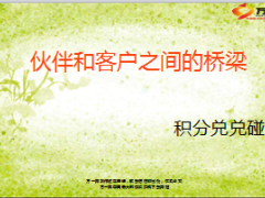 积分兑兑碰伙伴和客户之间的桥梁24页.ppt