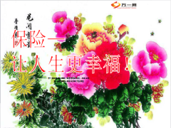 健康养老说明会教案国寿康宁保鑫尊保10万69页.ppt