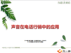 保险行业声音在电话行销中的应用13页.ppt