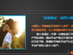 用保险应对新婚姻法的四大颠覆13页.ppt