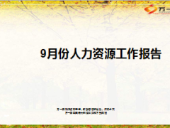 9月份人力资源工作报告总结15页.ppt