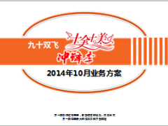 九十双飞2014年10月业务方案47页.ppt