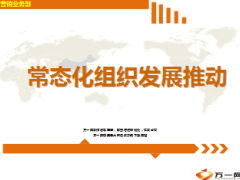 常态化组织发展推动指标经验38页.ppt