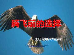 定级主任精准增员宣讲片机构巡讲版58页.ppt