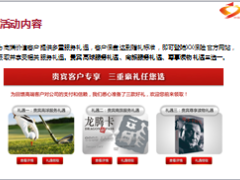 高端客户附加值服务项目方案23页.ppt