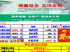 国寿新瑞鑫金账户10年期自动版计划书累计生息.xls