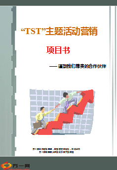 银保TST主题活动营销项目书9页.ppt