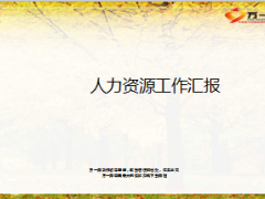 人力资源工作汇报月度工作总结计划15页.ppt