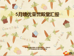 月度绩优荣誉殿堂汇报22页.ppt